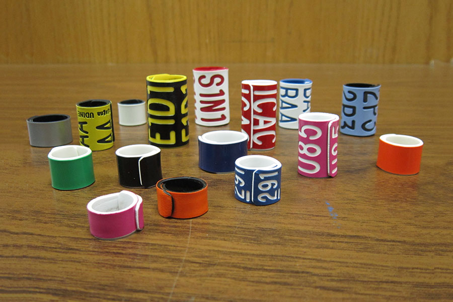 Pro-Touch Engraving Ltd. 2025 A variety of bird bands on a table.