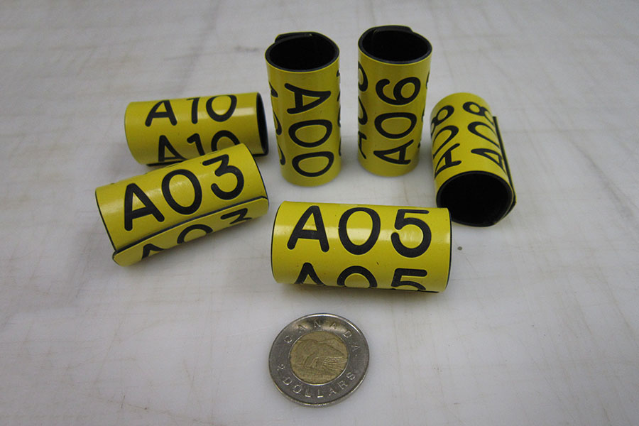 Pro-Touch Engraving Ltd. 2025 A variety of bird bands on a white table.